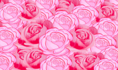 pink rose flower  pattern  hand drawn illustration  background