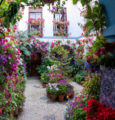 Fototapeta na wymiar Patio full of flowers in spring, Cordoba, Spain.