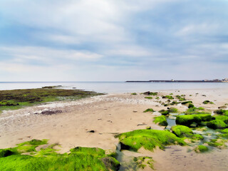 Algae Covered Rocks - Lyme Regis Dorset