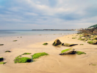 Algae Covered Rocks - Lyme Regis Dorset