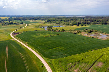 Fototapeta na wymiar rural landscape with agricultural fields, roads and lonely trees, drone photography