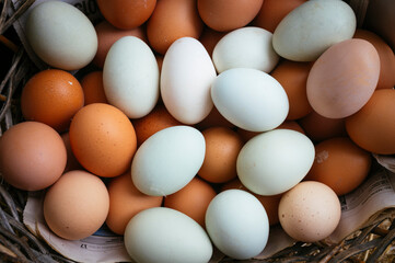 farm eggs
