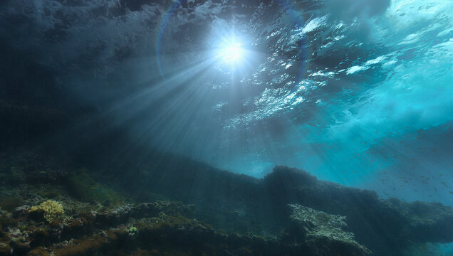 Underwater photo of a beautiful landscape and waves from below in rays of light. From a scuba dive in the wild sea.