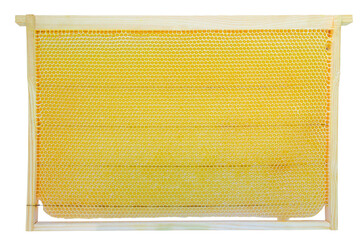 frame with wax filled with bee honey, isolate frame