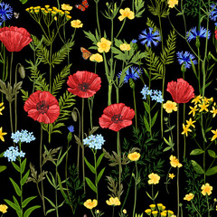 Wild herbs pattern Wildflowers in summer. Red poppies, cornflowers, forget-me-nots, yellow buttercups, ferns