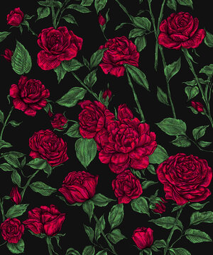 Seamless floral pint. Red roses on a black background. Print for printing on fabric, wallpaper, tiles.