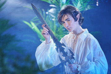 courageous elf with sword