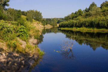 a river with green banks and trees on the shore and a bush in the water on a summer day