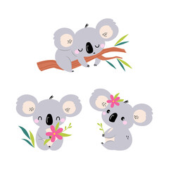 Adorable Koala Arboreal Australian Animal with Round Ears Sleeping on Eucalypt Tree Vector Set