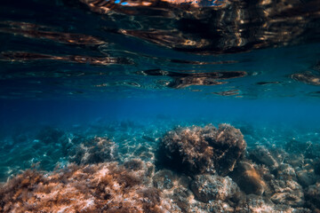 Underwater view with bottom stones and seaweed in transparent ocean