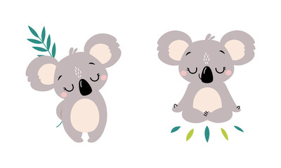Adorable Koala Arboreal Australian Animal with Round Ears with Eucalypt Branch and Meditating in Yoga Pose Vector Set