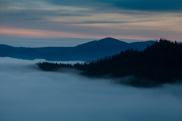 Forests and valleys in the clouds during sunrise in the mountains, Carpathians, Smotrych