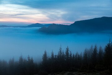 Fototapeta na wymiar The mountain valley is covered with thick foggy clouds, morning in the Carpathians