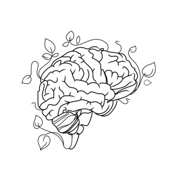 recommend clip art: Human brain vector line art illustration isolated on white background.Abstract drawing of the brain with branches and leaves growing from it.Design element for logo,icon and other things.Mental health