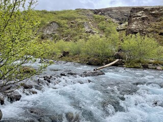 Tree trunk used as bridge to cross Glymur river on way to waterfall, second highest waterfall of...