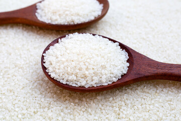 Uncooked japan rice with wooden spoon