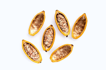 Cocoa fruit isolated on white background