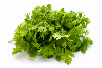 Fresh coriander leaves on white background.