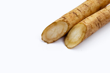 Burdock Root (Gobo) on white background.