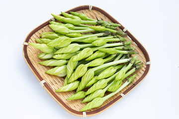 Moonflower or Ipomoea alba L for cooking