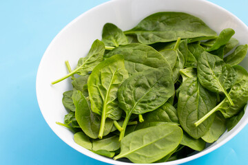 Spinach leaves on white background.