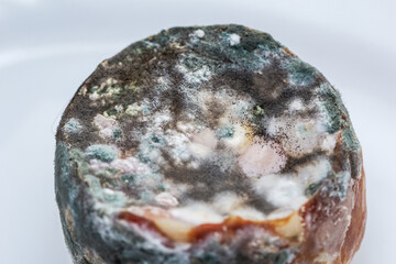 Real dangerous mold on sausage