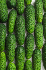 Fresh green cucombers as a background