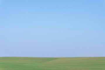Green field with blue sky as background.
