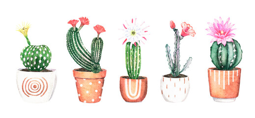 Watercolor green cactus illustration. Flowering cacti in terracotta pots clipart. Houseplants design for posters, prints, cards, invitations