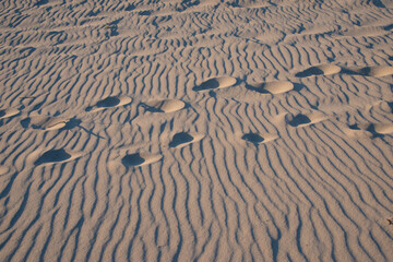 kontrastreiche Spuren im Sand