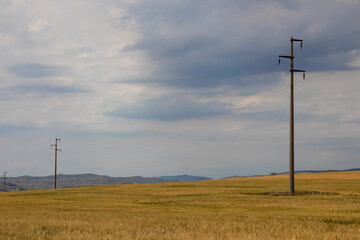 Power poles with lines for energy distribution on a field with ripe wheat and dark rain clouds in...