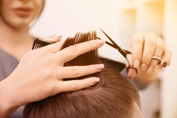 Professional female hairdresser working with client in salon