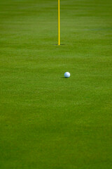 A golf ball on green
