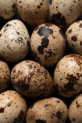 Many fresh quail eggs as background, closeup