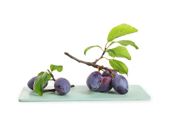 prune sur fond blanc, quetsche