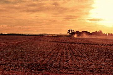 Campo arado com irrigação e por do sol