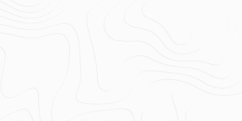 Vector abstract white paper cut banner. Geometric layered background, white texture, abstract wavy background, cut paper, applicable for cover flyer poster and business card.