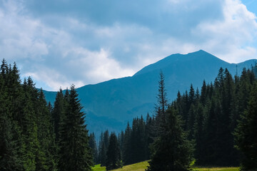 View of the mountains in a haze. The background of nature.