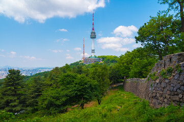 Obraz premium Summer of Namsan park at Seoul City ,South Korea.