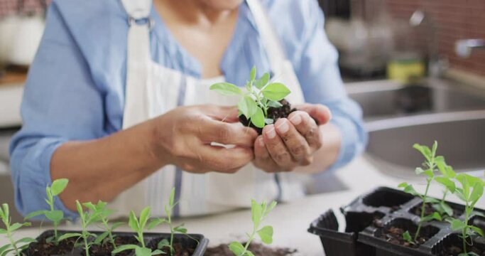 Asian senior woman holding a plant sampling at home