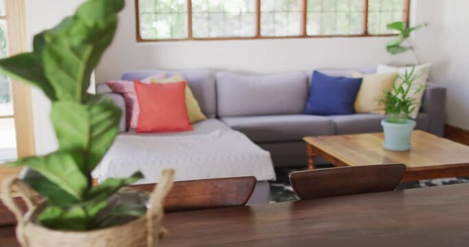 Close up view of plant pot on wooden table in modern living room