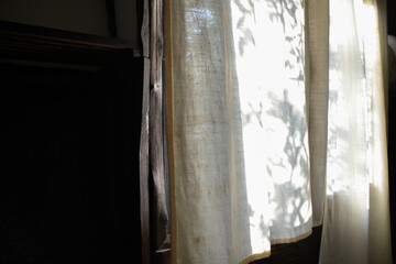 Nature tropical leaves tree branch shade with sunlight on calico curtain.