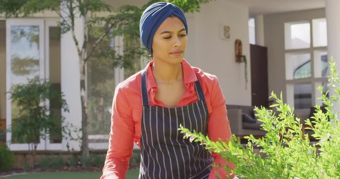 Video of biracial woman in hijab taking care of plants in garden