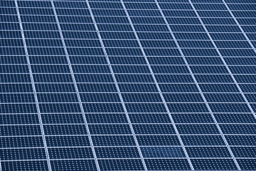 Solarpanels zur Energieewinnung