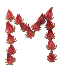 Letter M design by roselle fruit over on white background, Letter M design by fruit, letter design.