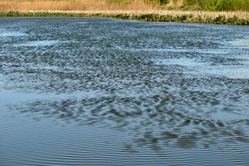 The surface of the lake is covered with not high waves.
