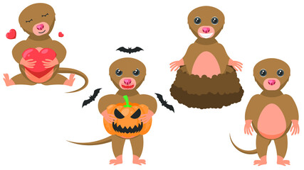 Set Abstract Collection Flat Cartoon Different Animal Mole, Stand, Hugs The Heart, Peeking Out Of The Ground, With A Pumpkin And Bats Around Vector Design Style Elements Fauna Wildlife