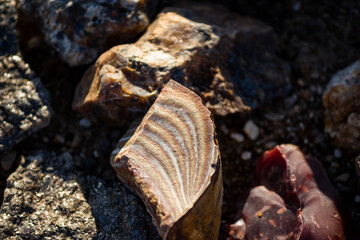Fragment of banded flint among stones. Kaluga region, Russia