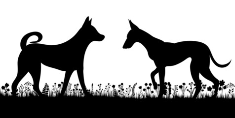 dogs playing silhouette on white background, isolated