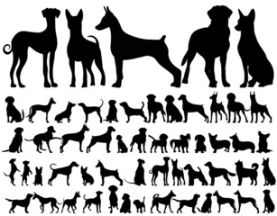 dogs set silhouette on white background, isolated